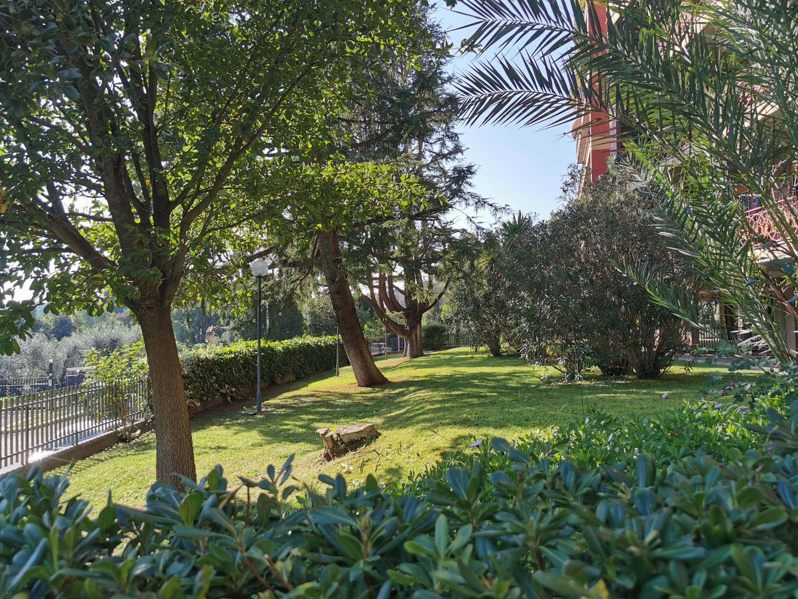 Giardino Condominiale (3)