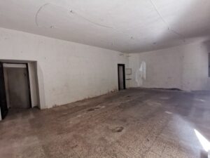 IMG_20231006_135322