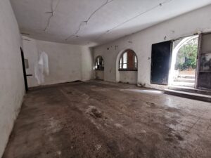 IMG_20231006_135348