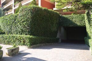 Ingresso Condominio (2)