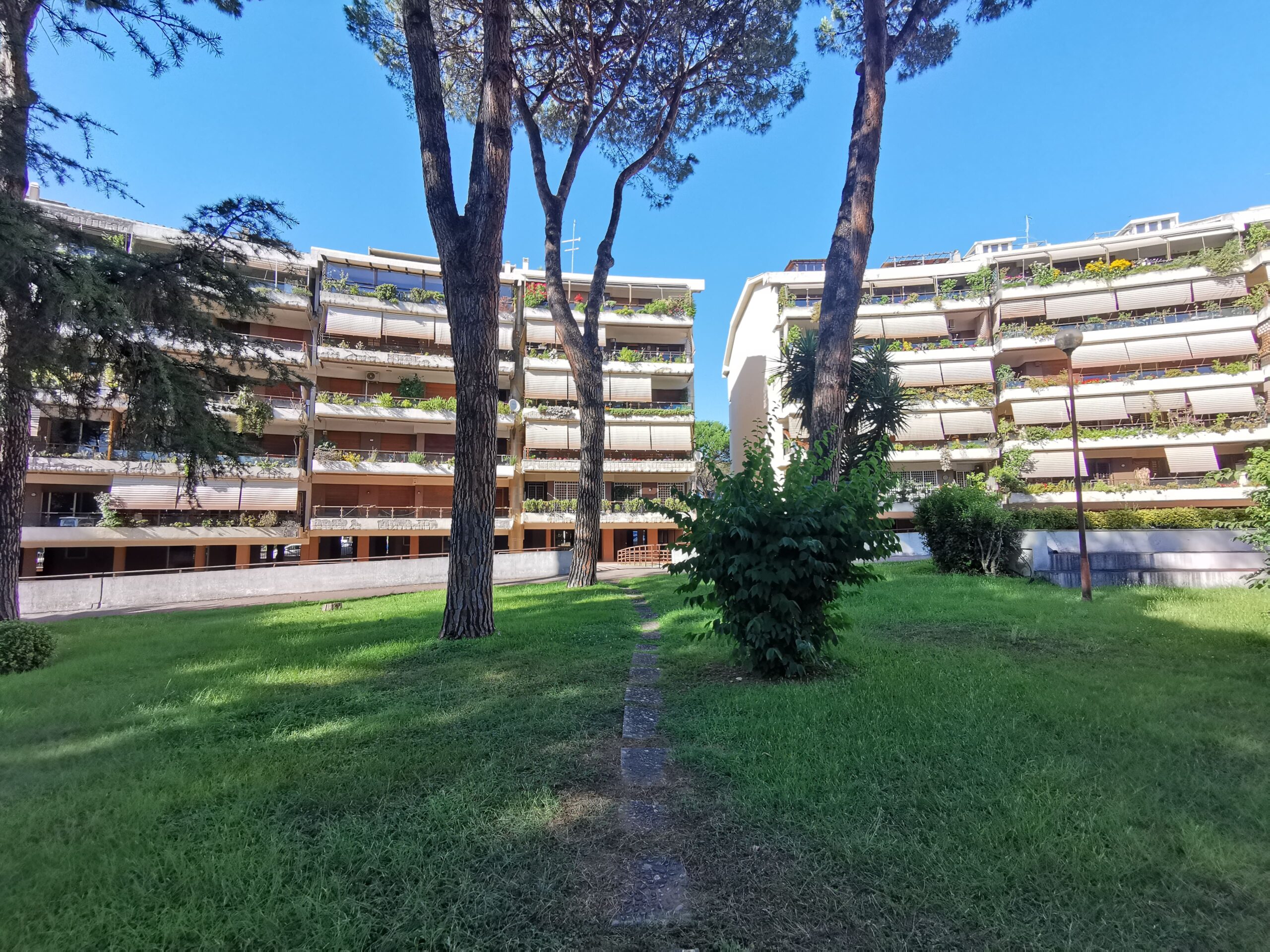 Parco (18)
