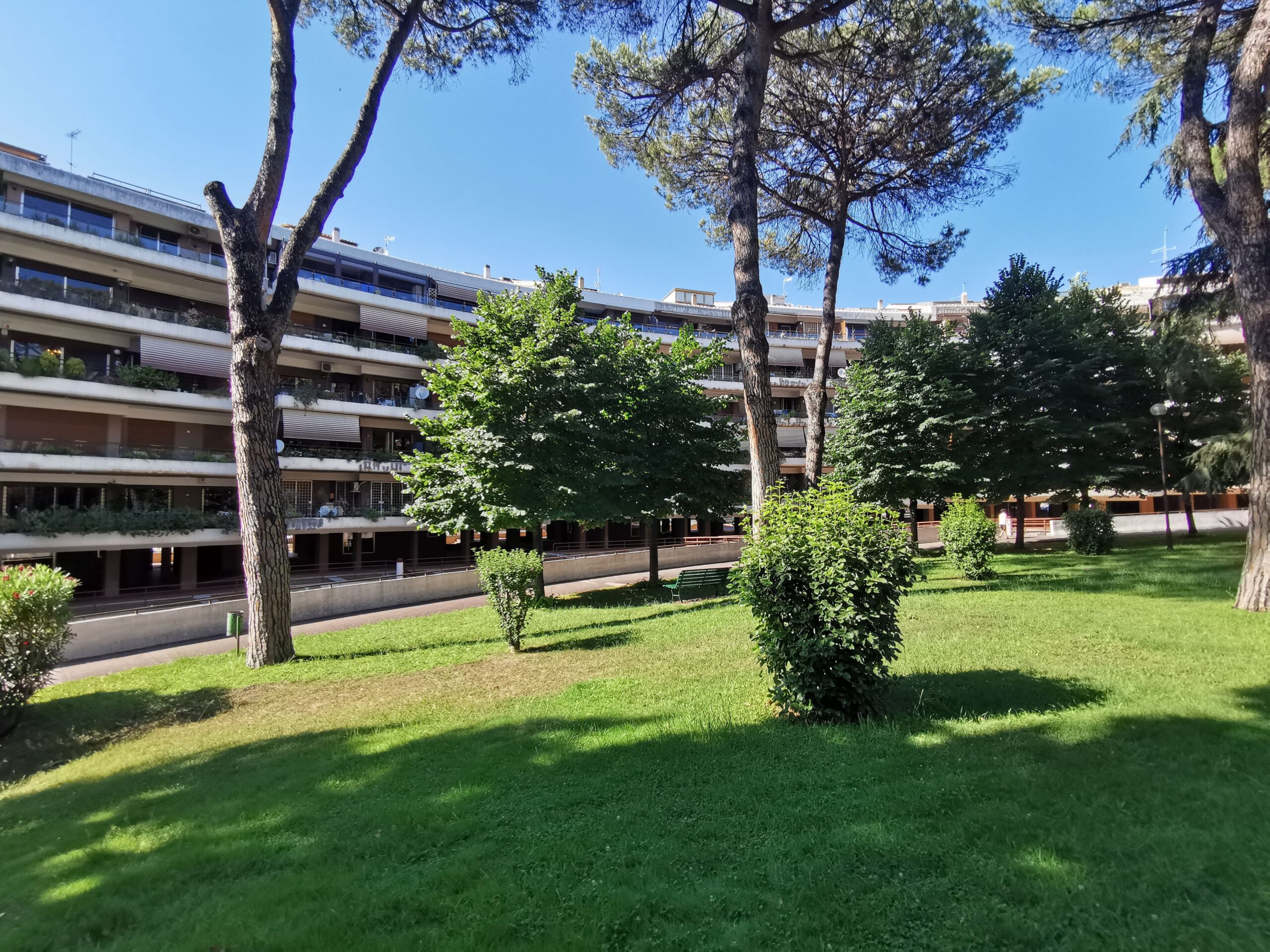 Parco (8)