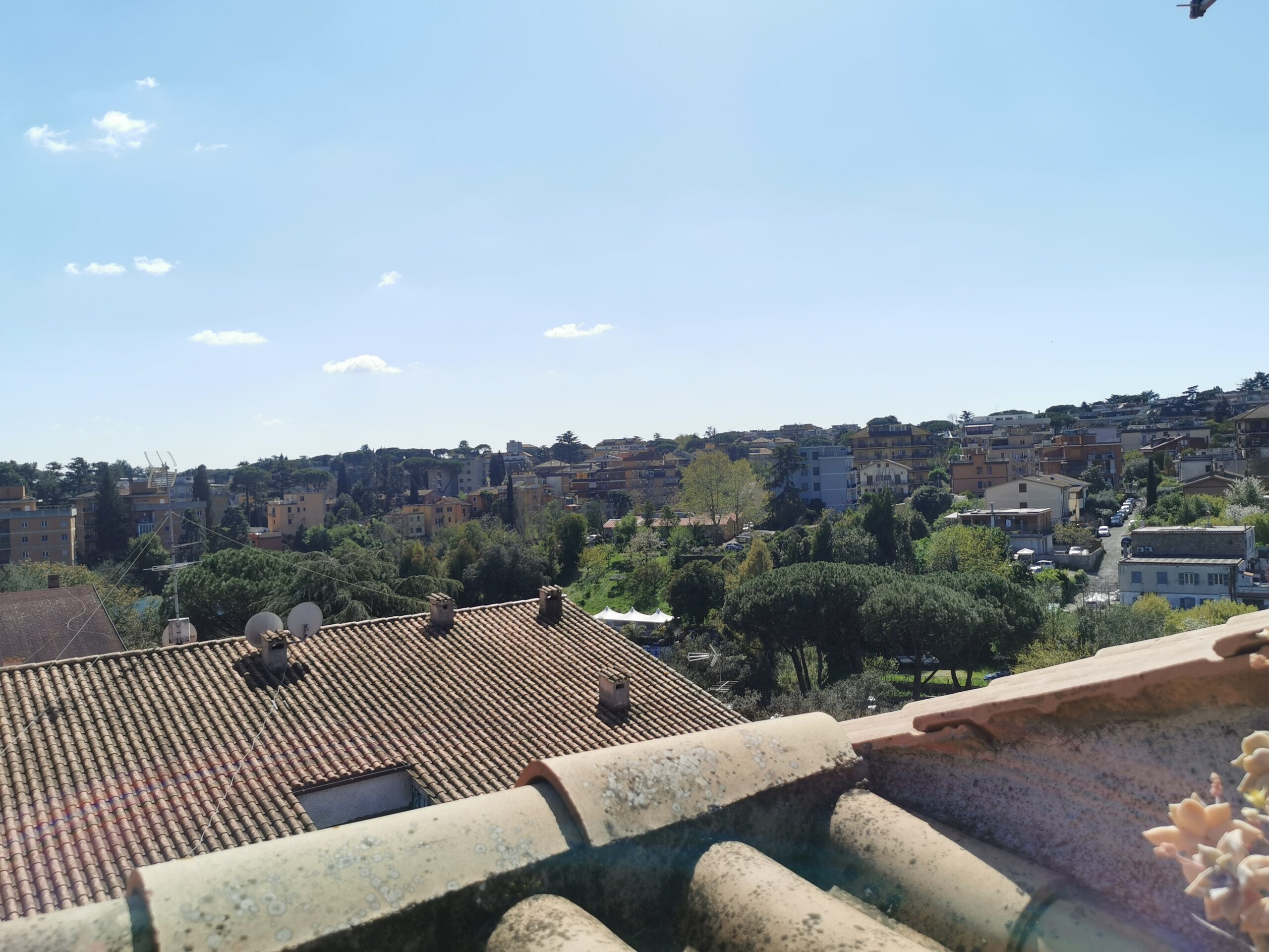 Vista (2)