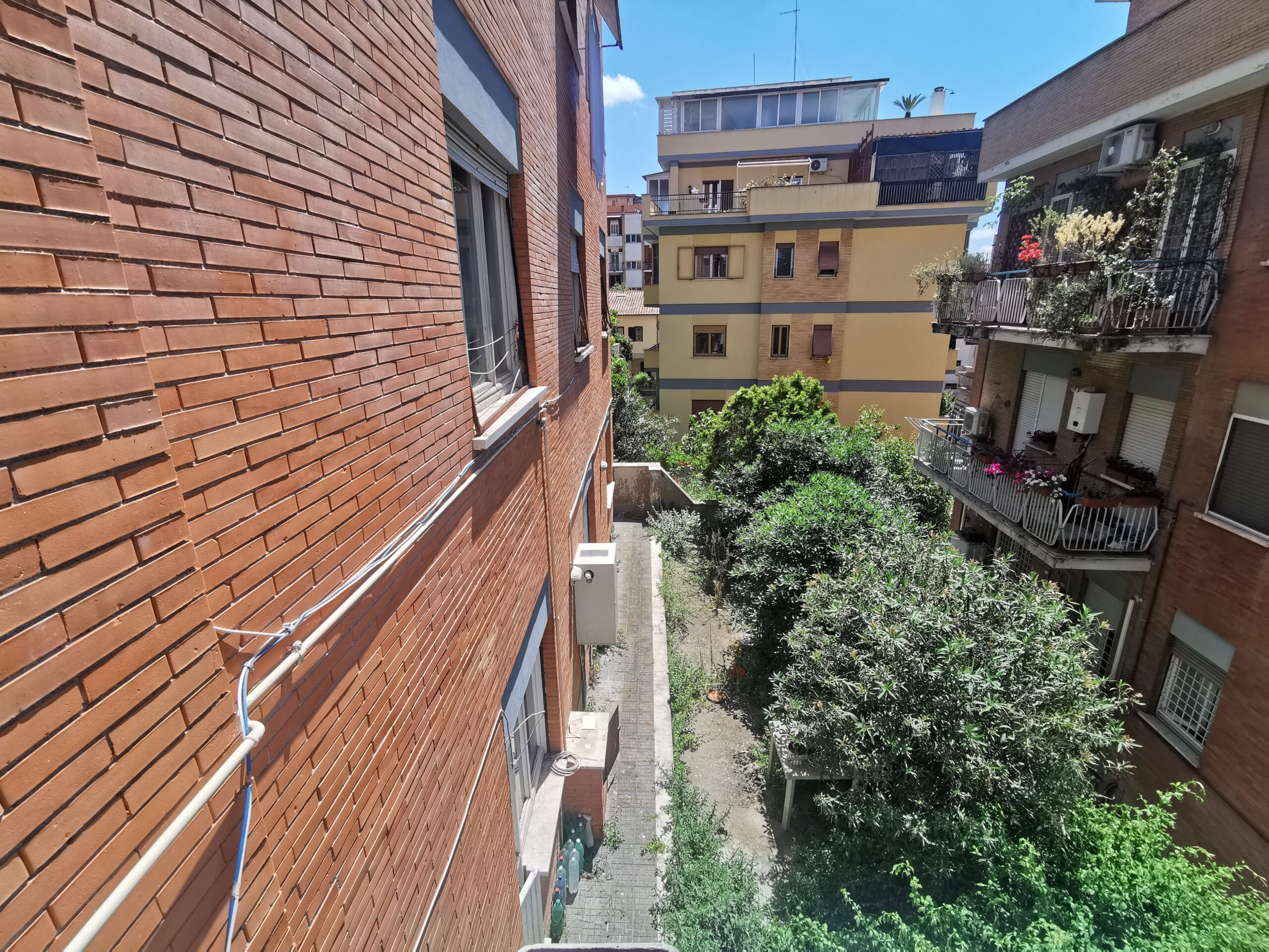 Vista (2)