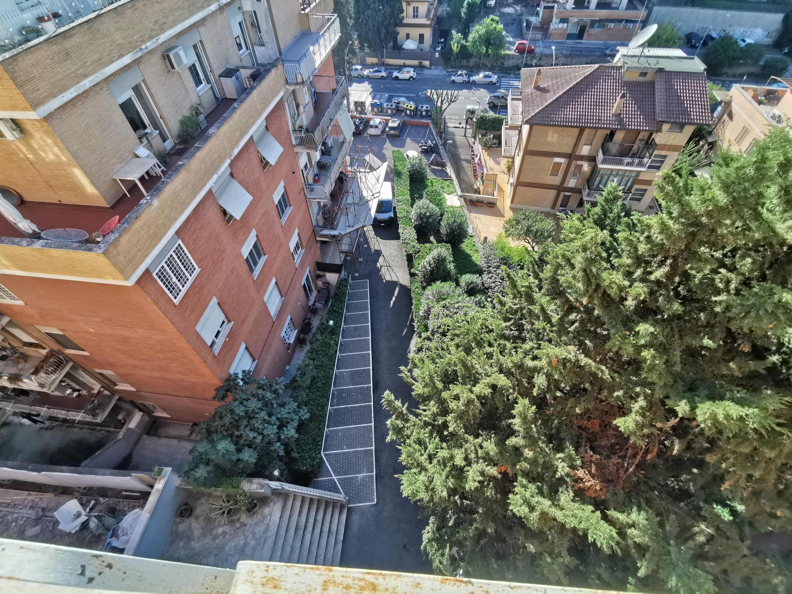 Vista (3)