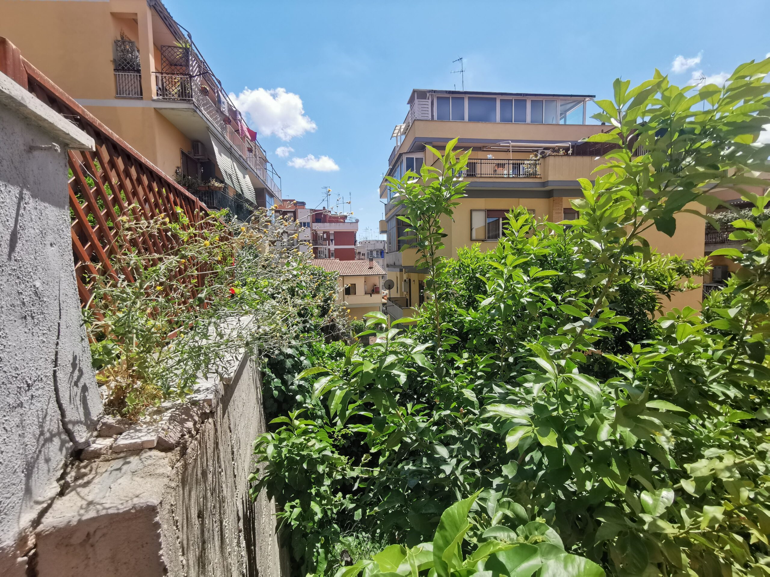 Vista (3)