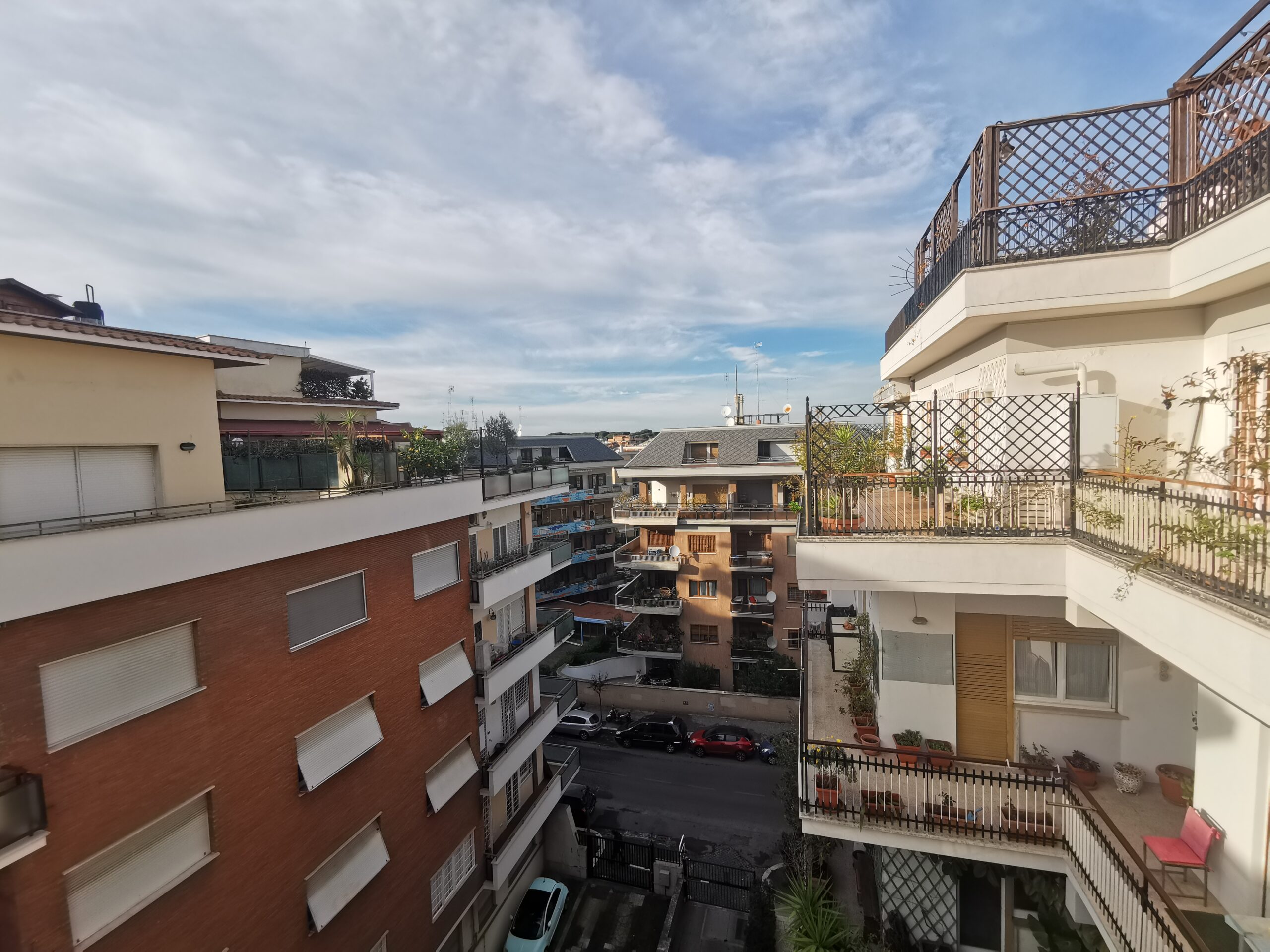 Vista (4)