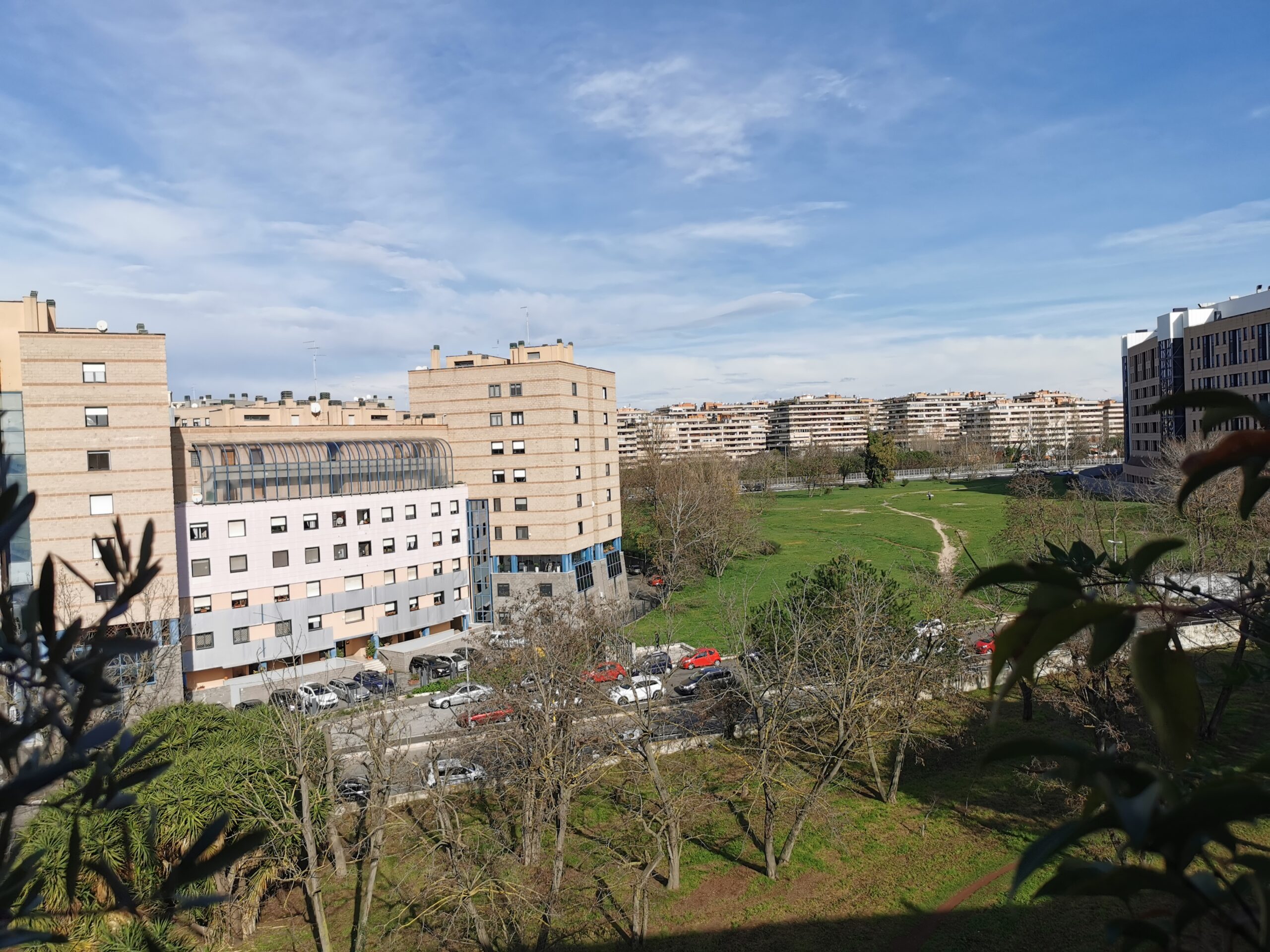 Vista