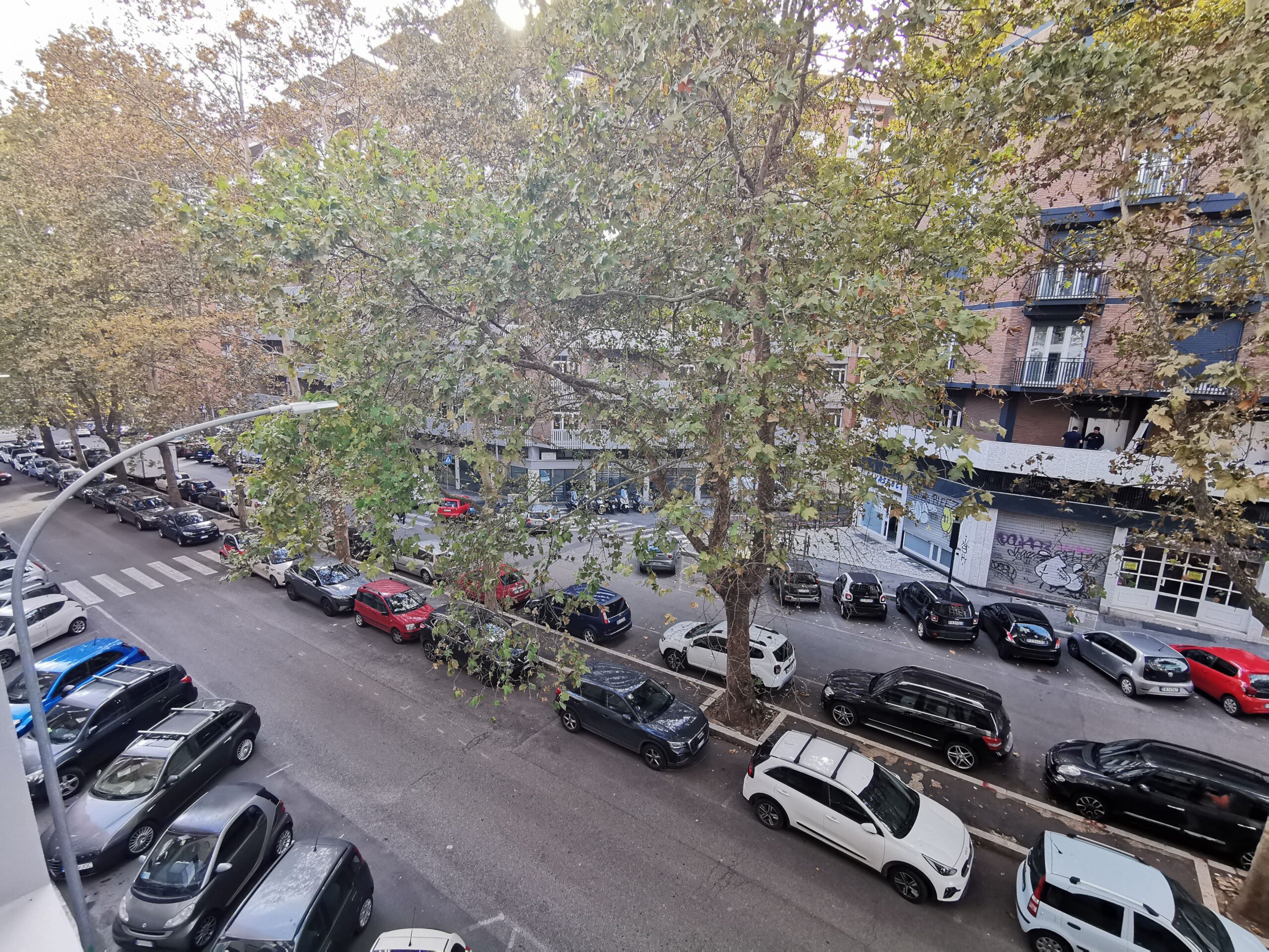 Vista