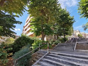 16 Scalinata Via dei Gozzadini (20)