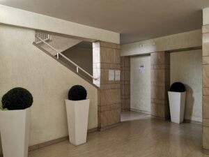 Androne (2)