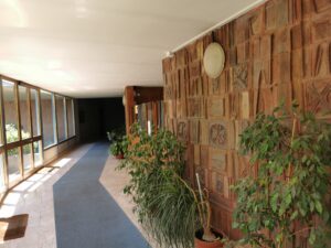 Androne (6)