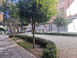 Giardino Condominiale (7)