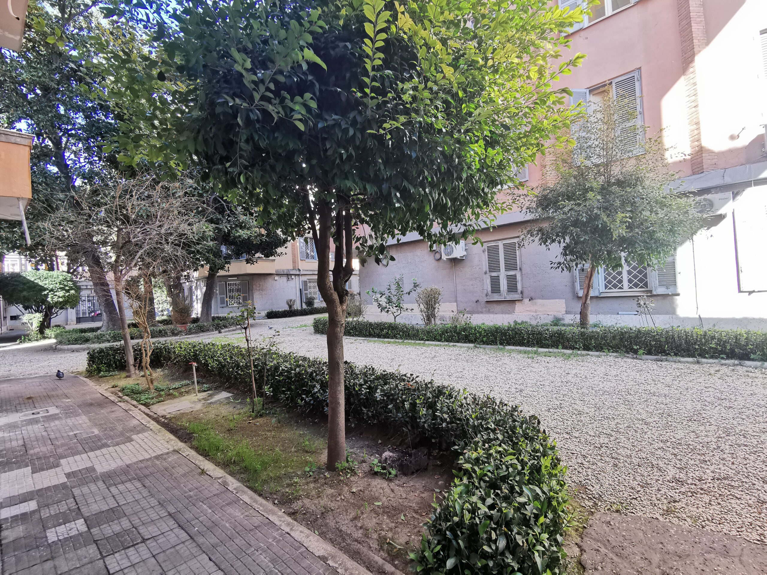 Giardino Condominiale (7)