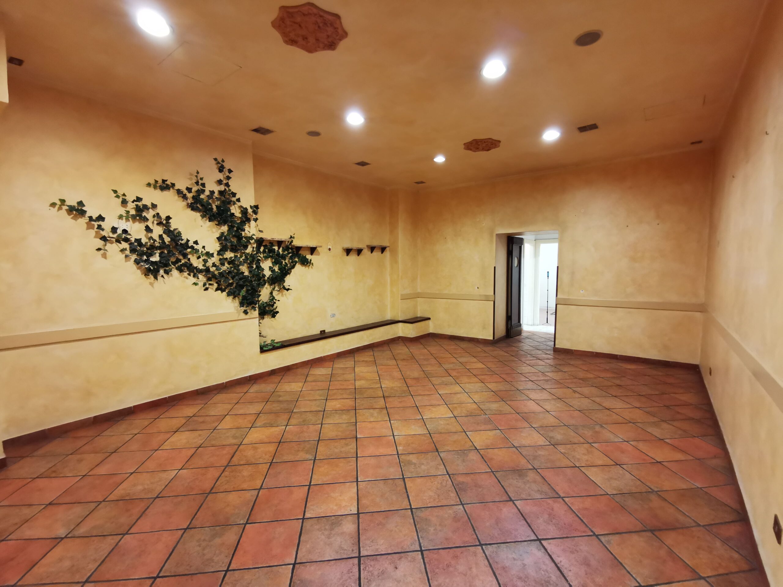 Sala (6)