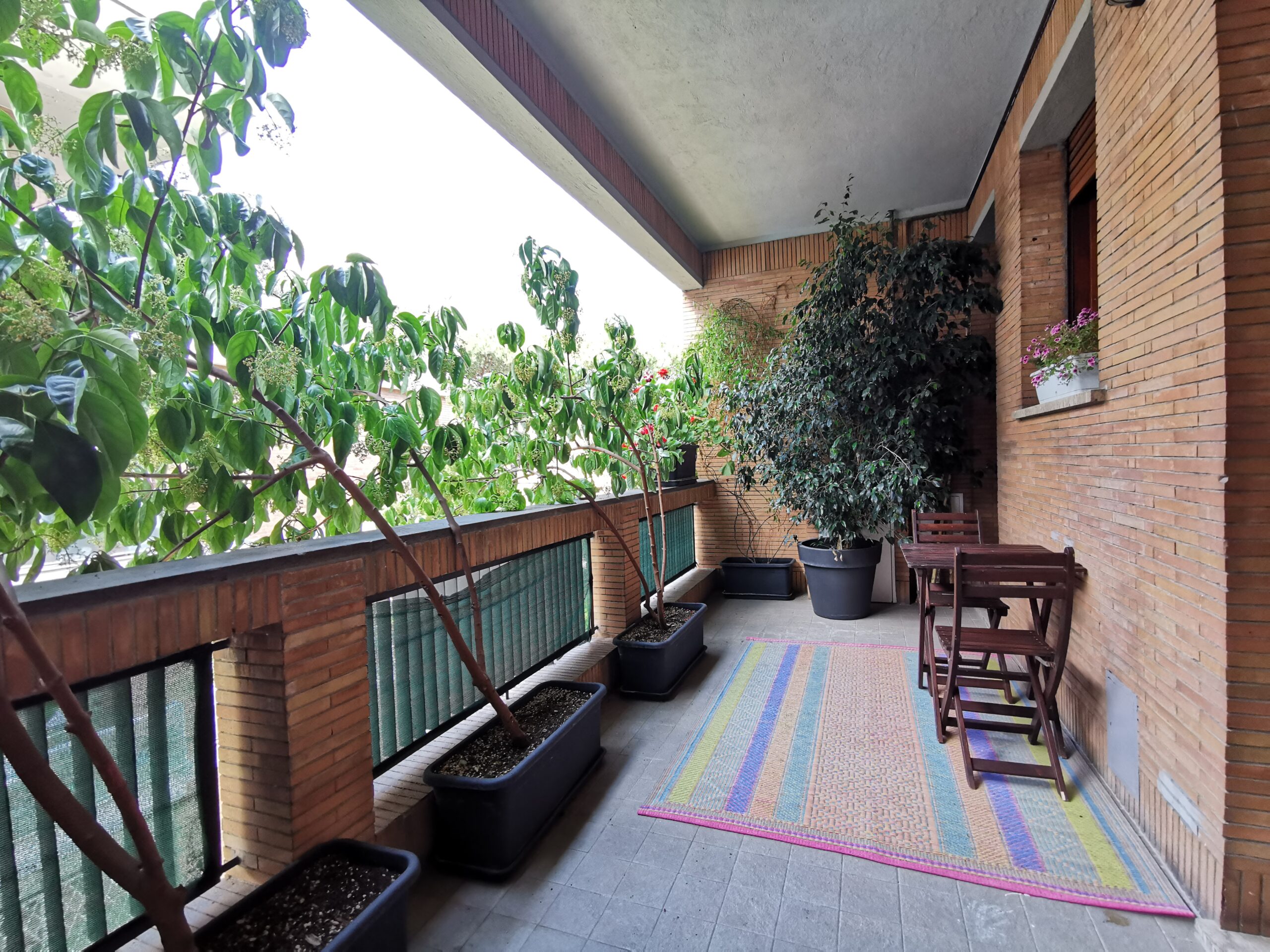 Terrazzo (2)