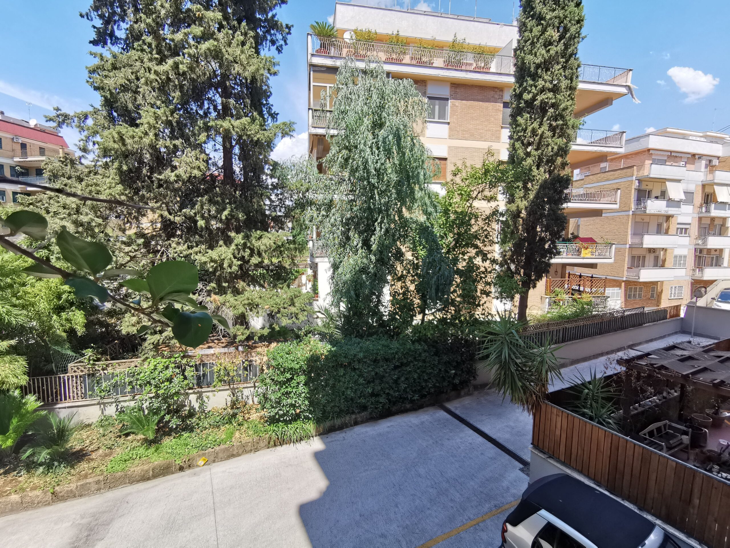 Vista (2)
