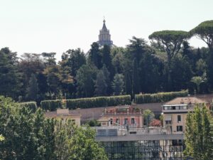 Vista (6)