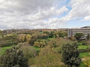 Affaccio Parco (2)