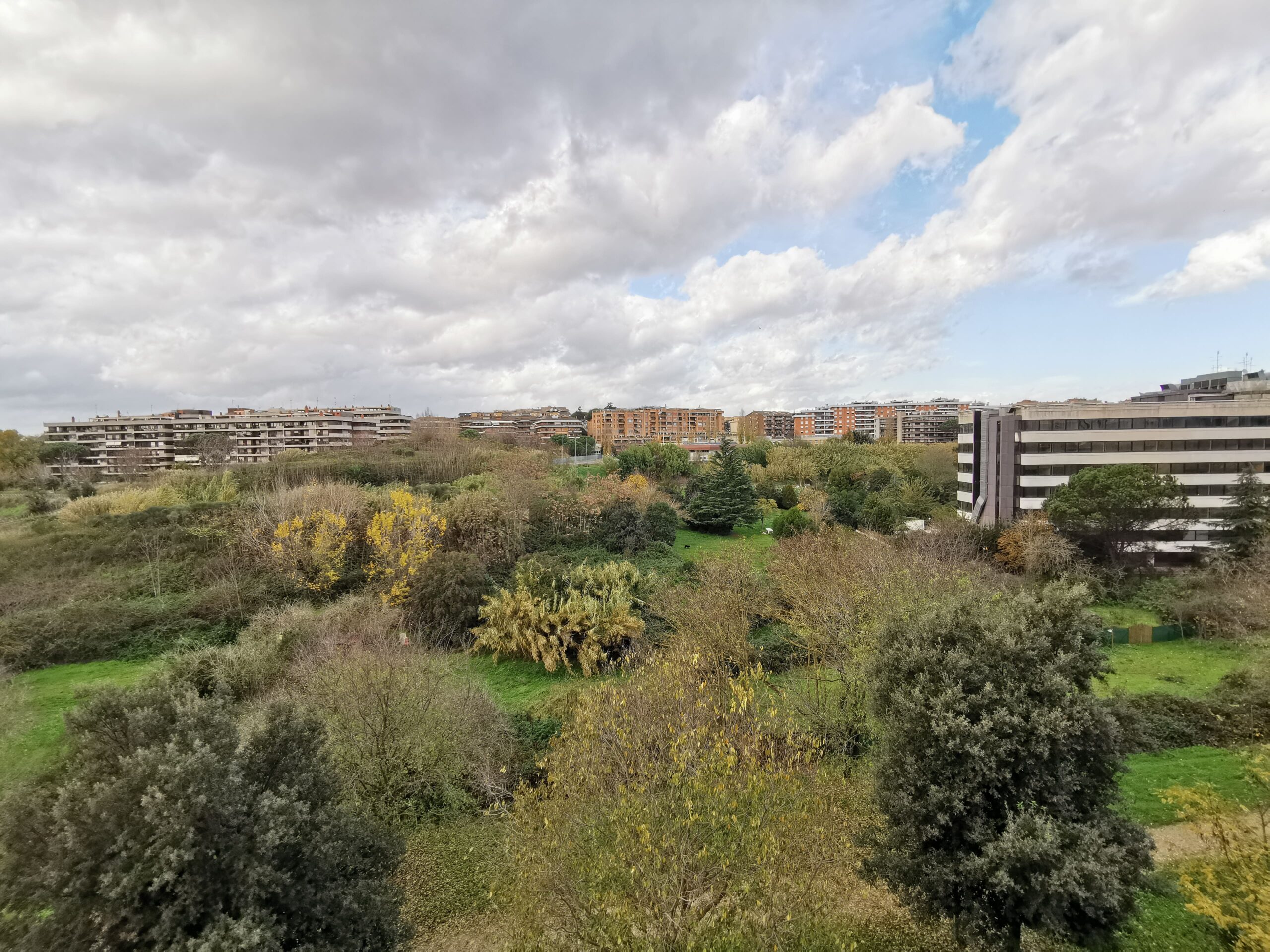 Affaccio Parco (2)