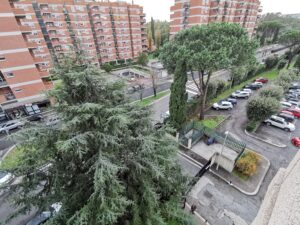 Affaccio Viale (2)