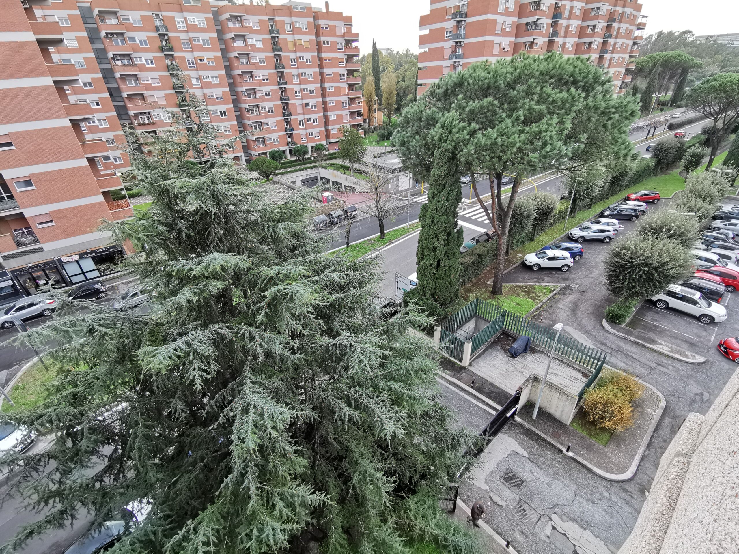 Affaccio Viale (2)
