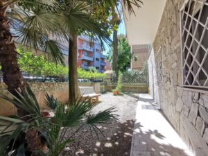 Garden (10)