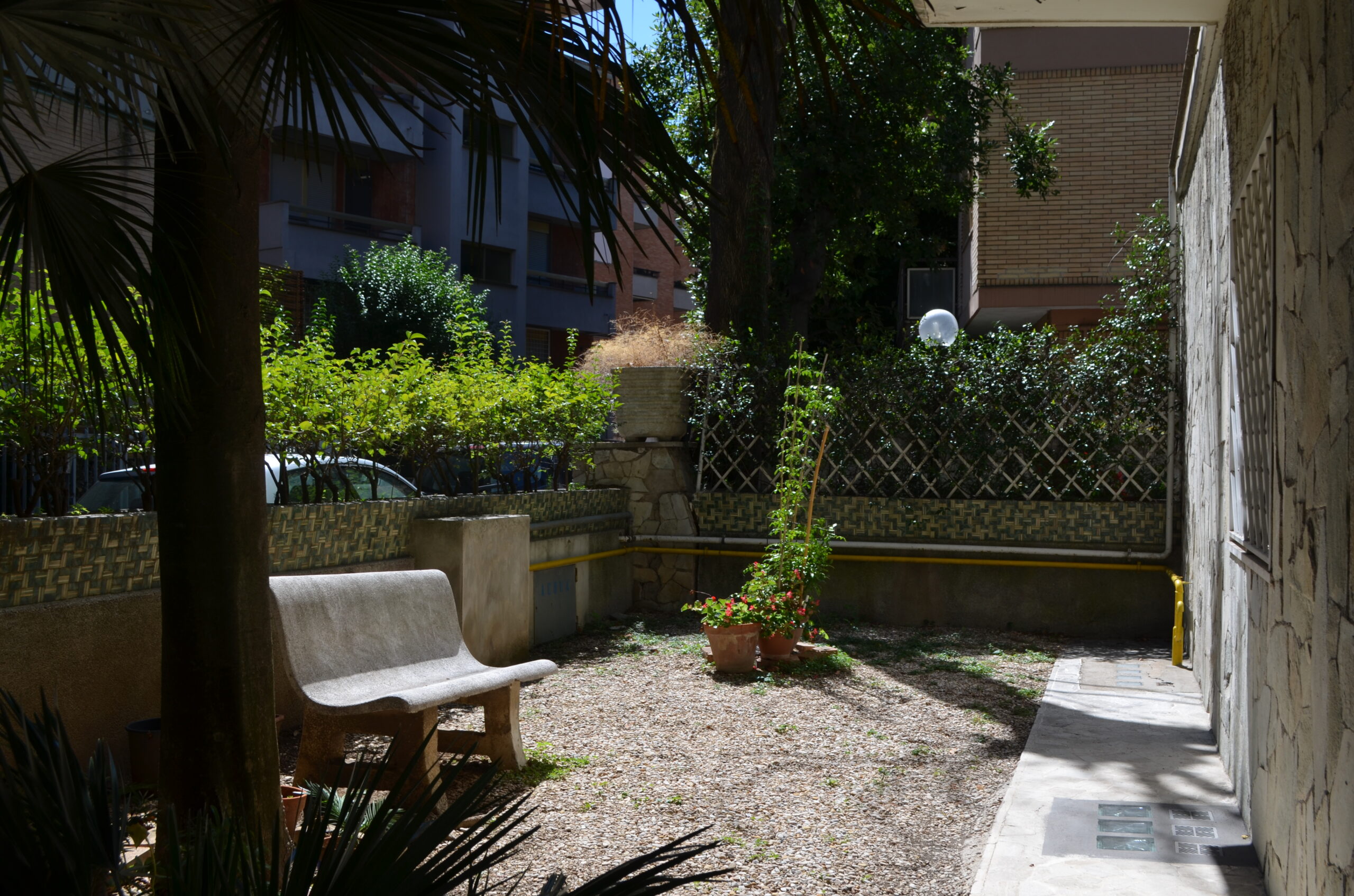 Garden (17)