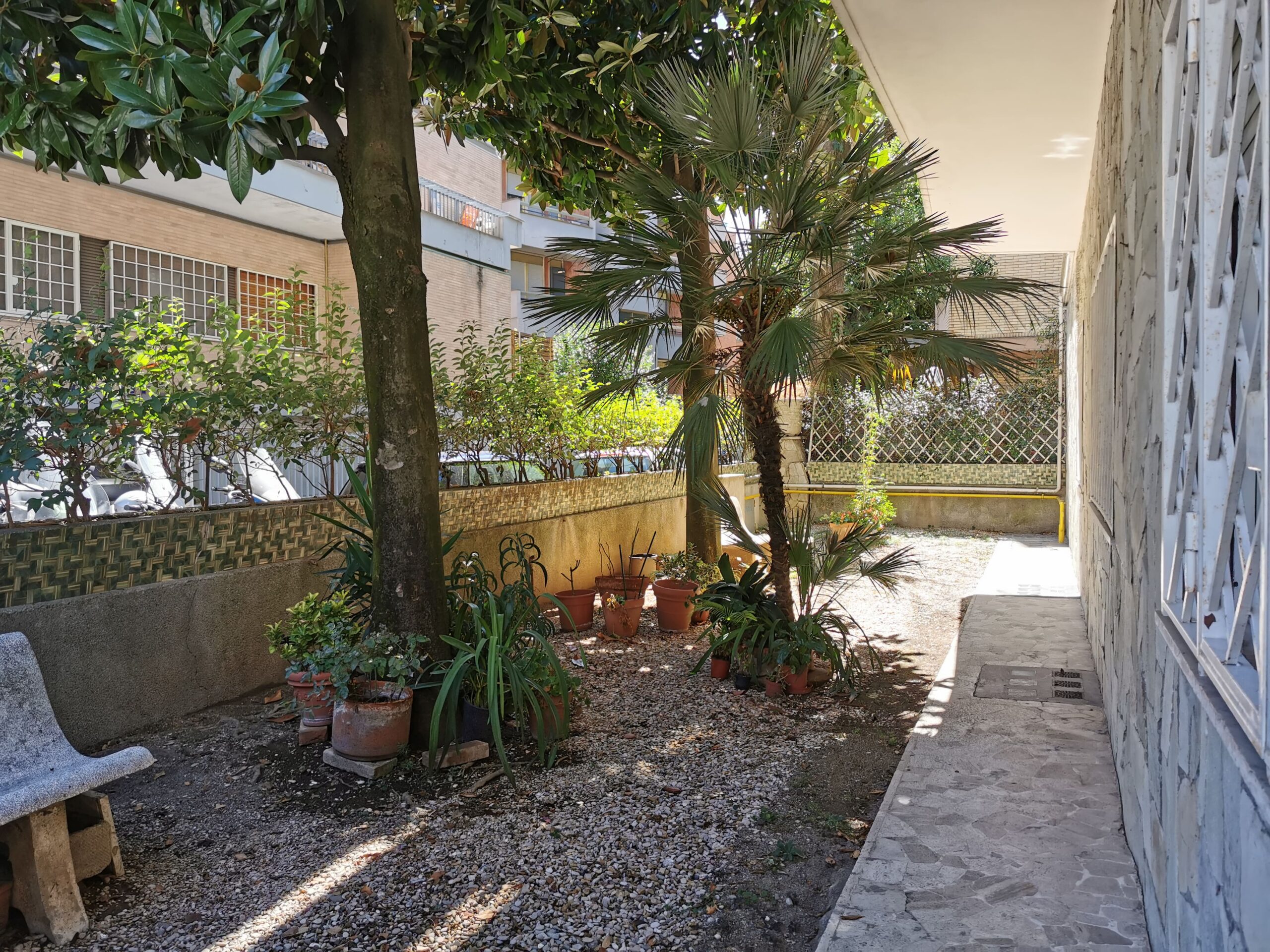 Garden