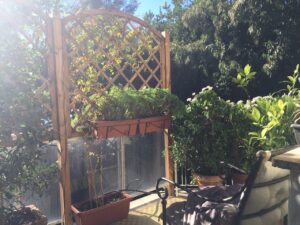 balcone