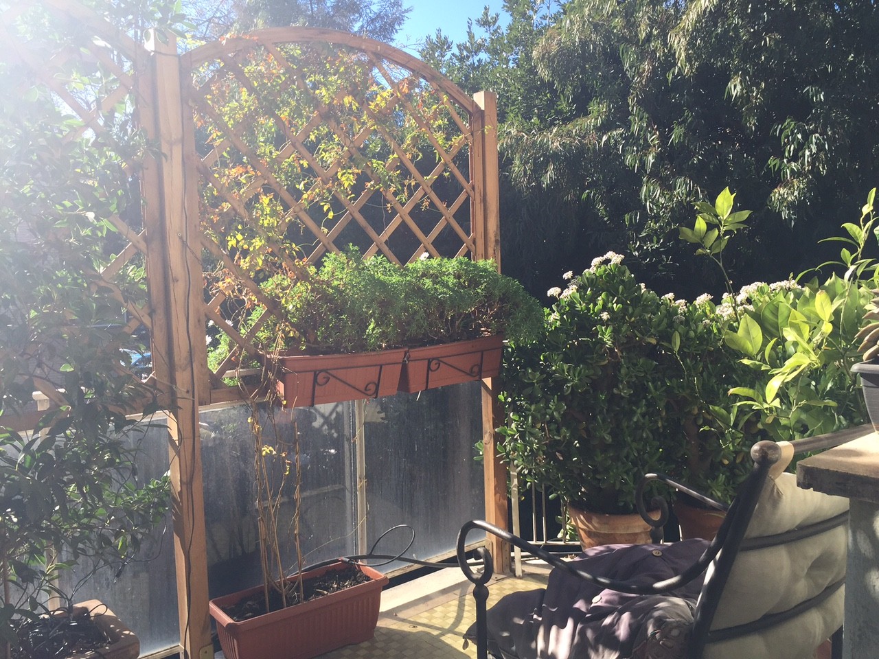 balcone