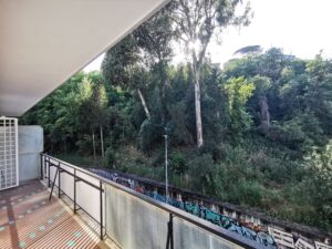 Balcone Via Simone Simoni (5)