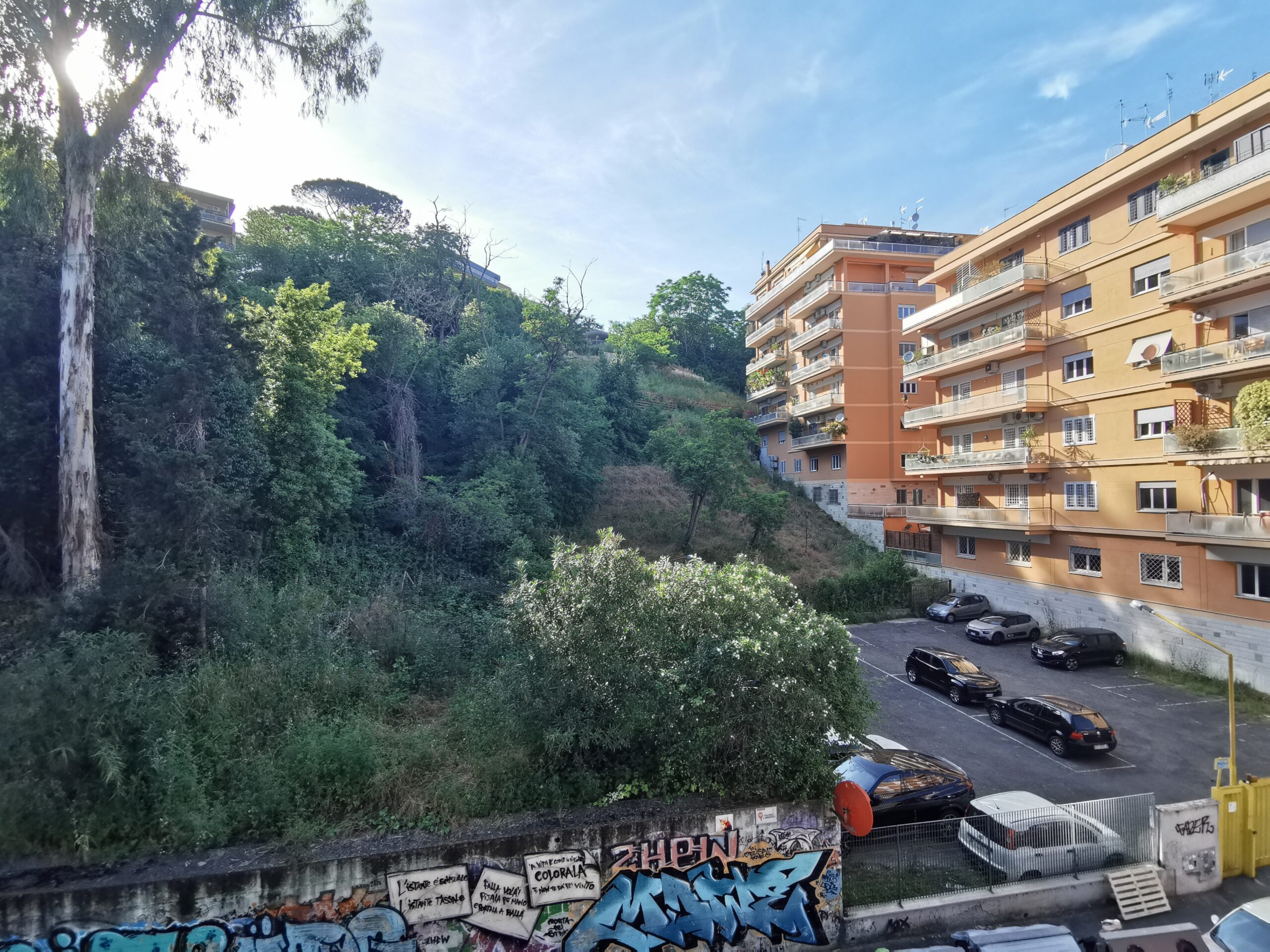 Balcone Via Simone Simoni (8)