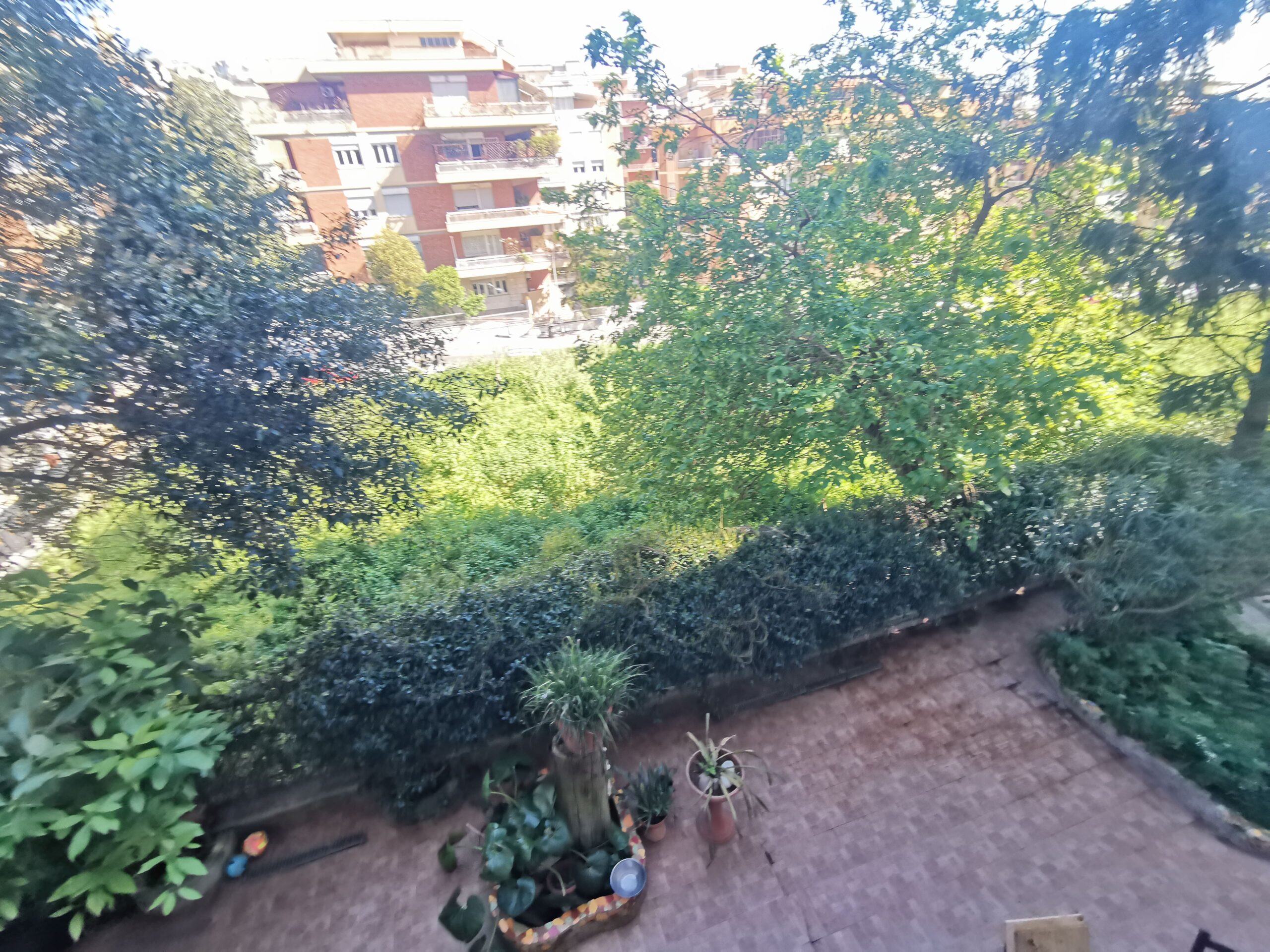 Affaccio (4)