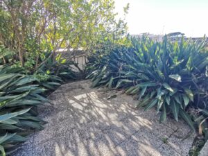 Giardino (3)