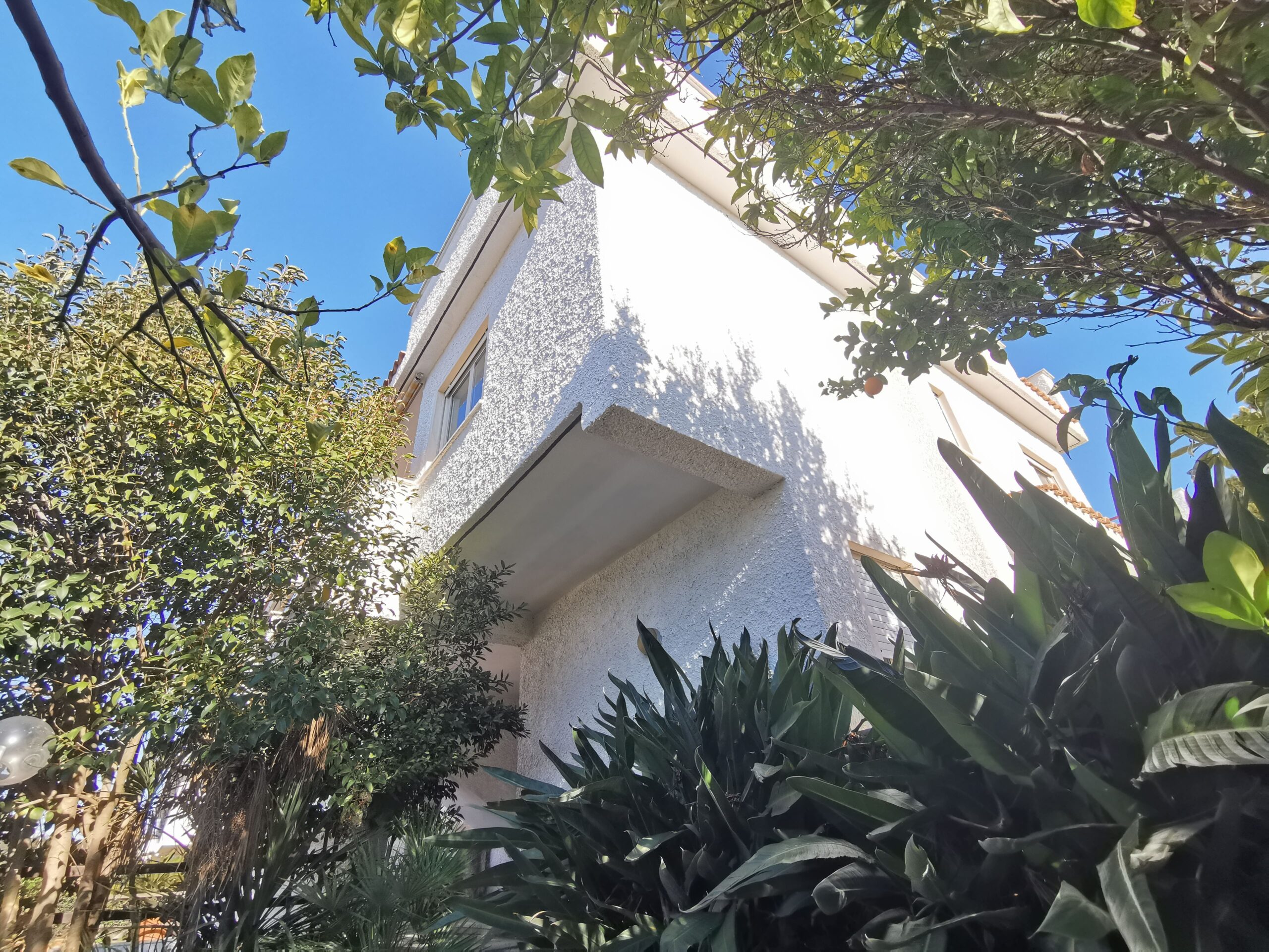 Giardino (9)